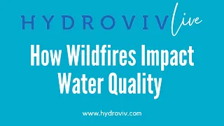 How Wildfires Impact Water Quality