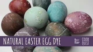 HOW TO DYE EASTER EGGS WITH NATURAL COLOR | HIBISCUS ELDERBERRY BLACKBERRY BOUGAINVILLEA BLUE PEA