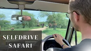 The FUN of Self-Drive SAFARI