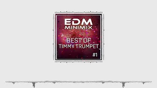 EDM MiniMix Best Of Timmy Trumpet #1