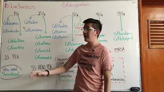 Antibióticos 3: Cefalosporinas