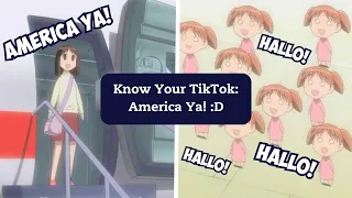 Where Do The "America Ya! :D" and "Hallo!" TikTok Spam Comments Come From?