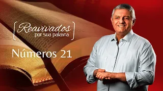 REAVIVADOS NÚMEROS 21