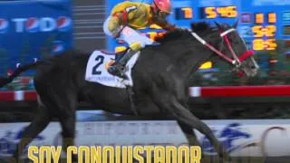 Salón de la Fama del Clásico del Caribe 2012 - Soy Conquistador