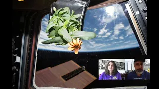 #NASAatHome Spaceport Series Episode Five: growing plants in space