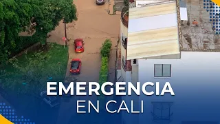 Al menos 100 viviendas afectadas y árboles caídos: Balance tras las lluvias en el norte de Cali