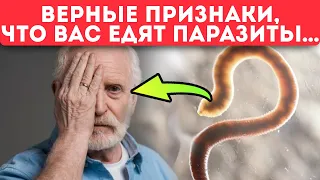 Смотри и запоминай! Вот где паразиты прячутся от чисток! Еда от глистов