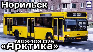 🇷🇺Автобус МАЗ-103.075 «Арктика». Норильск. «Транспорт в России» | Bus MAZ-103.075 «Arctic».