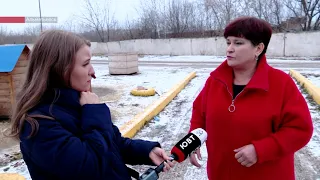 Зоозащитники Альметьевска просят помочь собрать деньги на ограждение