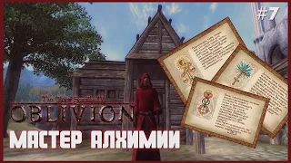 TES IV: Oblivion на 100% #7: Мастер Алхимии (Подробное прохождение).