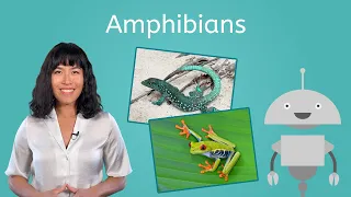 Amphibians - Biology for Teens!