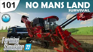 SUGARCANE FOR THE FIRST TIME - Day 125 - No Mans Land Survival | Farming Simulator 22 | FS22