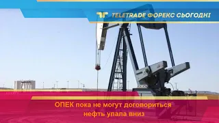 TeleTrade Форекс сегодня. ОПЕК пока не могут договориться, нефть упала вниз