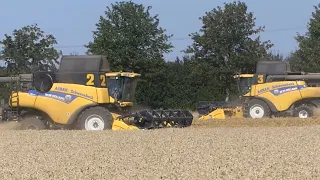 Erntekomplex mit 4x New Holland bei Hamersleben