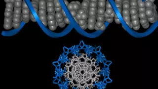 DNA Mediated Signaling Jan  27, 2010