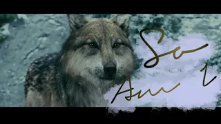 Twilight Wolves - So Am I