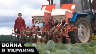 🤬 Польша обиделась из-за слов Зеленского в ООН: анализ громкого скандала