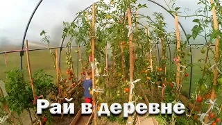 Женские будни. С урожаем не справиться!