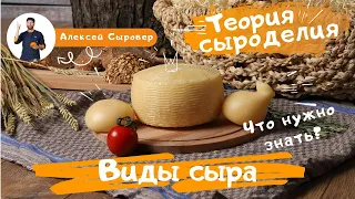 Виды сыра. Что нужно знать?