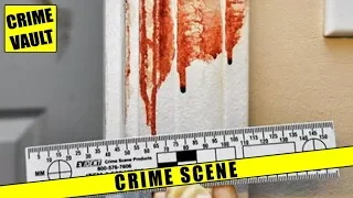 Man goes nuts and rips out girlfriends intestines. Crime scene photos + 911 call + Police Interview