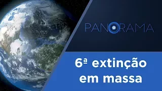 Panorama | A atividade humana na extinção das espécies | 15/01/2018