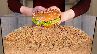 How Quickly The MAGGOTS Eat BURGER?