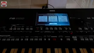 Songs demo korg pa600