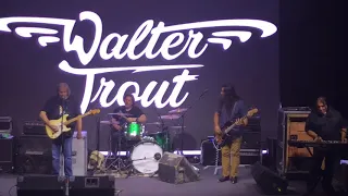 Walter Trout - Live in Bentonville