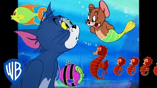 Tom y Jerry en Español 🇪🇸 | Aventuras entre peces 🦈 | WB Kids