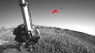 Mars Perseverance  Capture a flying Black object perfectly visible on the surface of Mars