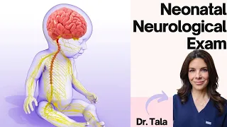 How to perform a neurological exam on a neonate