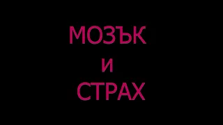 Мозък и Страх- защо всичко ме дразни, всичко е заплаха за мен? Стрес и раздразнение?