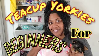 Picking Up Our 9 Week Old Yorkie Puppy‼️*Puppy Haul*