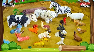 Educational Videos to Learn about Farm, Zoo, Jungle, Sea, and Wild Animals for Kids!