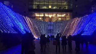 Light Illumination Shows Japan