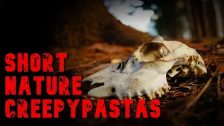 SHORT NATURE CREEPYPASTAS