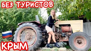 Владиславовка: Крым НЕ КУРОРТНЫЙ! Что здесь ТВОРИТСЯ? Еду из Феодосии на дизиличке // Крым 2021