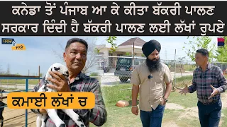 ਕਮਾਈ ਲੱਖਾਂ ਚ l Dharat De Jaaye l Kang Goat Farm l Sarbjeet S Sidhu | Manjit Singh Rajpura | B social