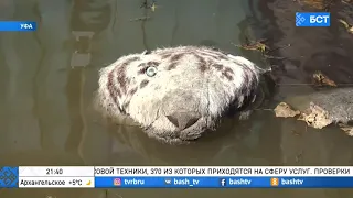 В Уфе целый микрорайон ушел под воду