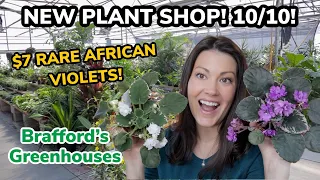 $7 VARIEGATED African Violets! NEW Plant Shop Concord, NC - Plant Shopping & Indoor Plant Haul