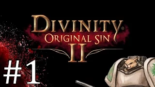 Divinity Original Sin 2 - Cleric! Part 1 Let's Play Divinity Original Sin 2