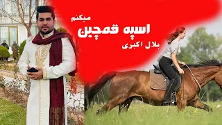 Bilal Akbari New Song | Aspa Qamchin Mekonam | آهنگ مست و شانه پرانک از بلال اکبری