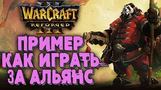 АЛЬЯНС В ПРЯМЫХ РУКАХ: SIMMONS (Hum) vs Infi (Ud) Warcraft 3 Reforged