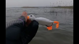 BEST DUCK LURE EVER! - Pike Fishing Aliexpress