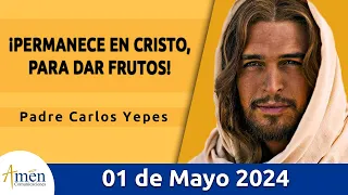 Evangelio De Hoy Miércoles 01 Mayo 2024 l Padre Carlos Yepes l Biblia l San Juan 15,1-8 l Católica