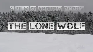 The Lone Wolf / Short film / Одинокий волк / Короткометражный фильм / Pop Pictures Studio