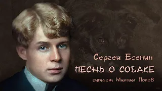 Сергей Есенин - Песнь о собаке (читает Михаил Попов) #есенин #стихи #поэзия #михаилпопов