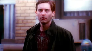 Into The Spider-verse ,intro peter b parker (tobey maguire)