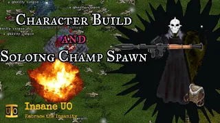 Soloing the Tortoise Champ Spawn on InsaneUO.  Build Showcase!  Ultima Online in 2024