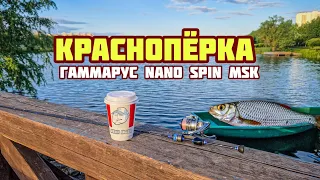 Мормышинг с Gammarus | Краснопёрка реагирует на деликатную проводку